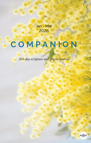 Companion 2026 - Set