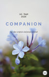 Companion 2026 - Set