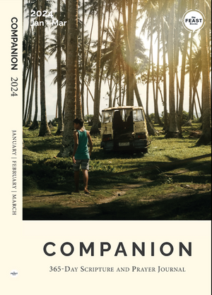 Companion 2024 - Set